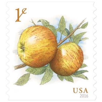 USA one cent stamps featuring two yellow apples with green leaves and a small stick, reading 1¢ in the upper left and USA in the lower right