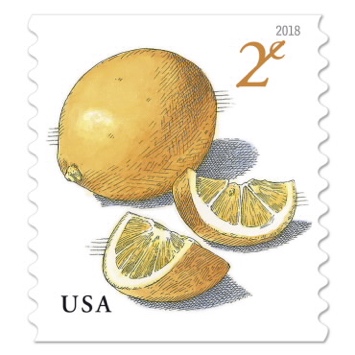 USA two cent stamps, a meyer lemon next to two lemon halfs cut open, reading USA in the lower left and 2¢ in the upper right in yellow font