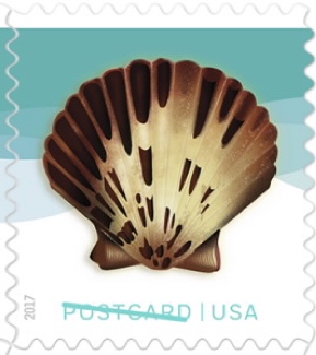 USA postcard stamp, brown shell with teal background