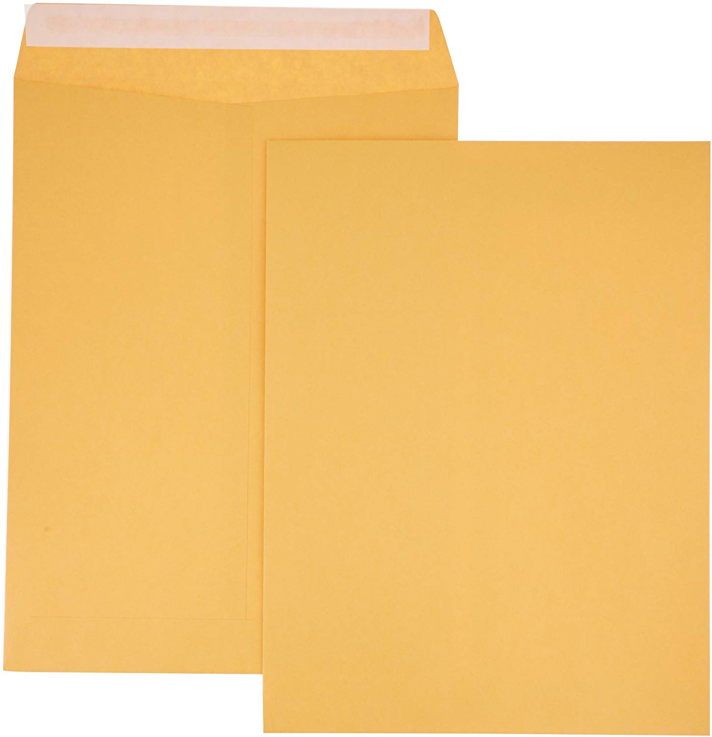 Manilla envelope 8.5x11 showing front and back with sticky flap